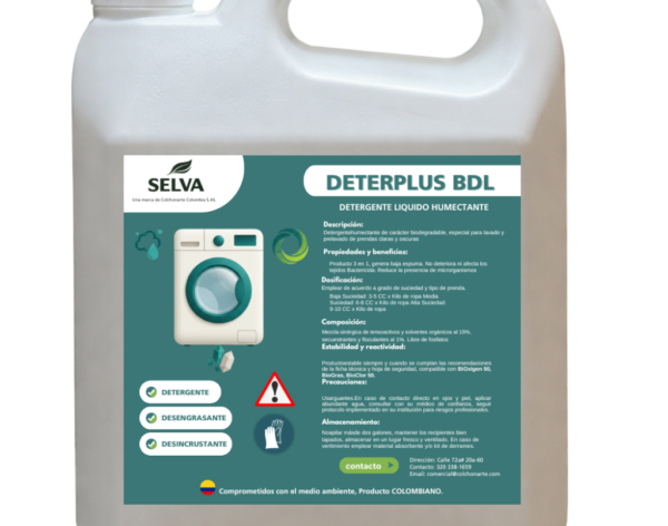 Diseño sin título - 2026-01-30T173956.769