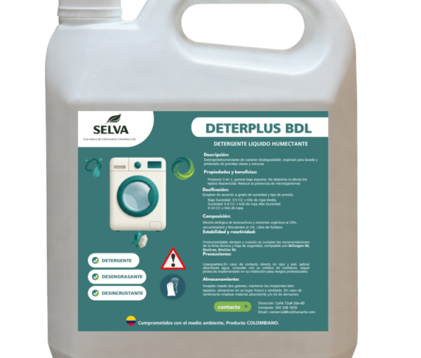 Diseño sin título - 2026-01-30T173956.769