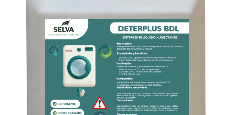 Diseño sin título - 2026-01-30T173956.769