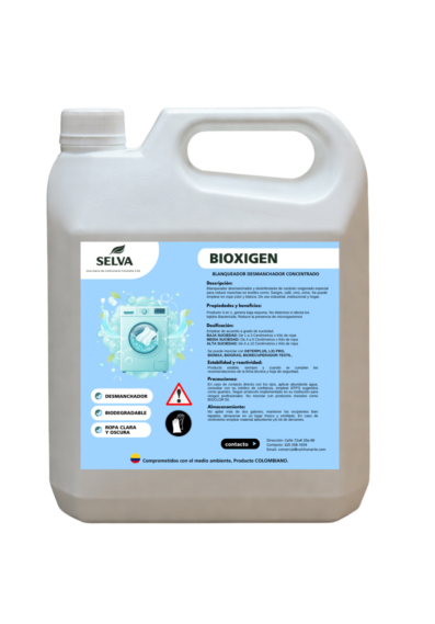 Diseño sin título - 2026-02-12T173521.828