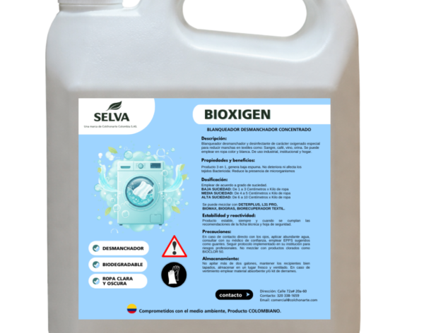 Diseño sin título - 2026-02-12T173521.828