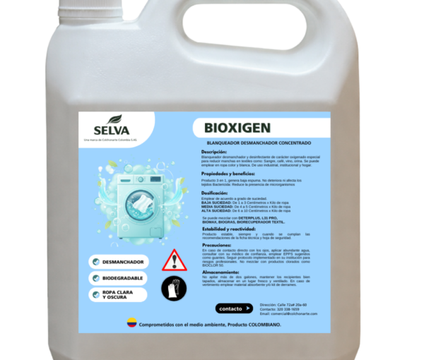 Diseño sin título - 2026-02-12T173521.828