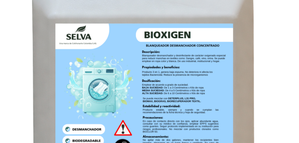 Diseño sin título - 2026-02-12T173521.828